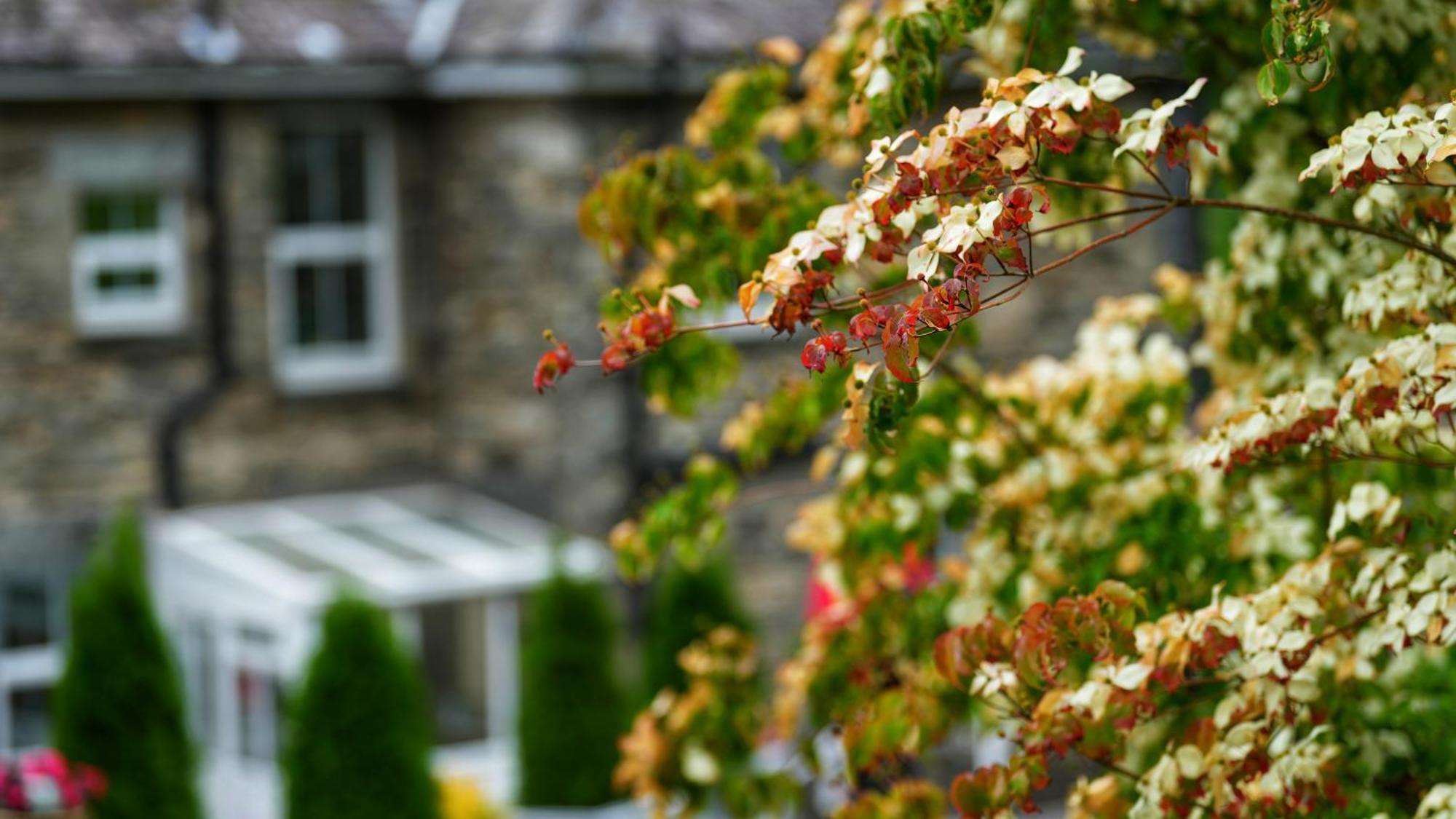 Tyn Y Fron 6 Bedroom House In Betws-Y-Coed Snowdonia Exterior photo